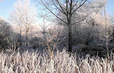 Wintergrüße aus Rhede (Ems) Wintergrüße aus Rhede (Ems)